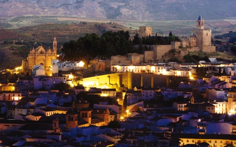 Joint Contract for the Supply, maintenance and integral energy services for the city of Antequera, Málaga (Spain)
