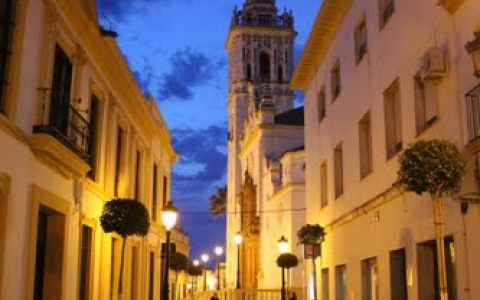SICE will carry the integral renewal of the street lighting system in La Palma del Condado, Huelva